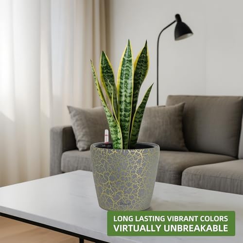 Dexceder 9x8 Self Watering Planter (Grey Gold Crackle)