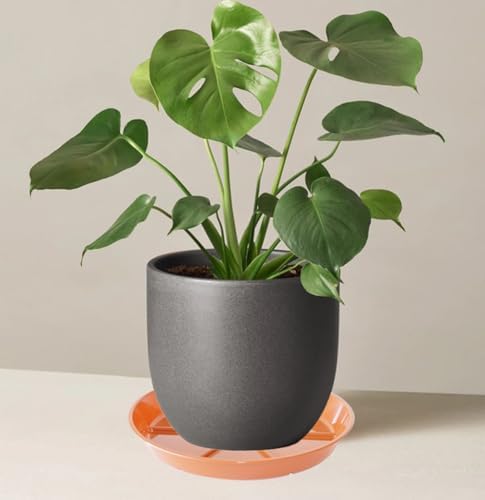 Plant Saucer Pot Tray 12 inch, 2 Packs Flower Planter Saucers and Drip Trays for Pots Planter, Heavy Duty Plant Dish Pant Plate to Catch Water for Indoor & Outdoor, Terracotta