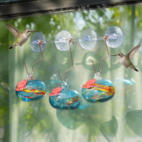 Window Hummingbird Feeder with Suction Cup Humming Bird Feeder for Outdoor