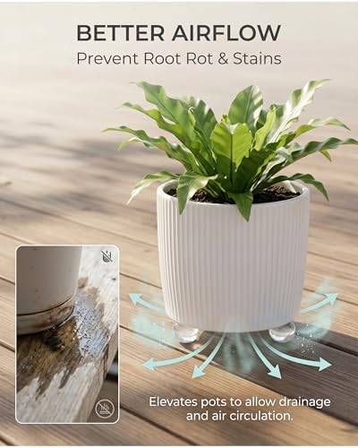36 Pcs Pot Feet Risers Transparent Plant Feet