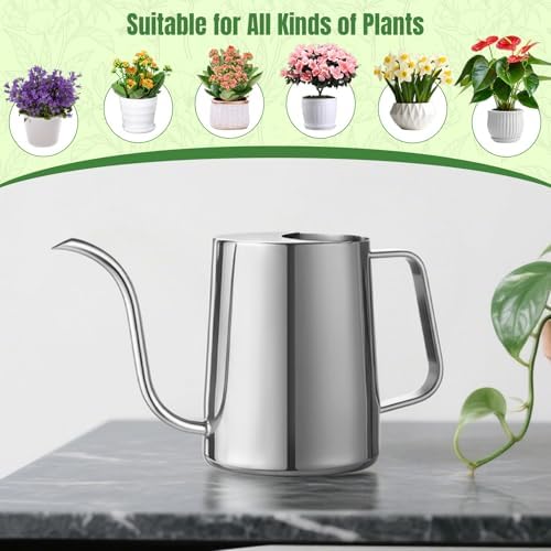 Doseno Small Watering Can for Indoor Plants, Metal, Long Spout, 34 oz/1 L