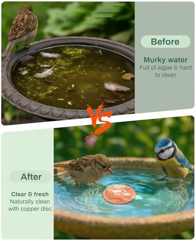 OICEME Bird Bath Purification Disk Pure Copper Outside Winter Solar Power Birdbath Wild Hummingbird Pedestal Fountain Cleaner Humming Feeder Cage Dispenser Bowl Ground Safe Garden Lover Women Gift