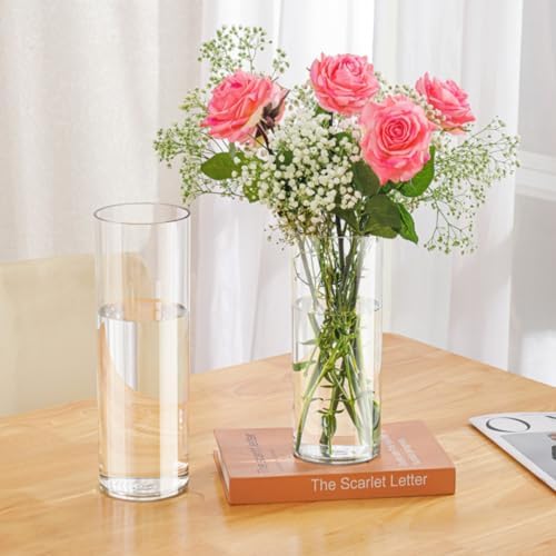 Liotww Acrylic Cylinder Plastic Clear Vase of 2 for Centerpiece Table Decor