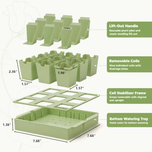 2 Pack Seed Starter Trays, Lift-Out Handles, Easy Transplanting