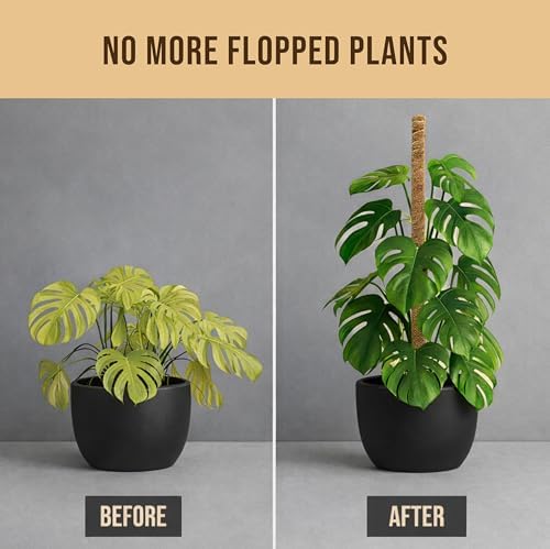Moss Pole Monstera Plant Support, 2 Pack 48in Bendable Indoor Plant Stakes