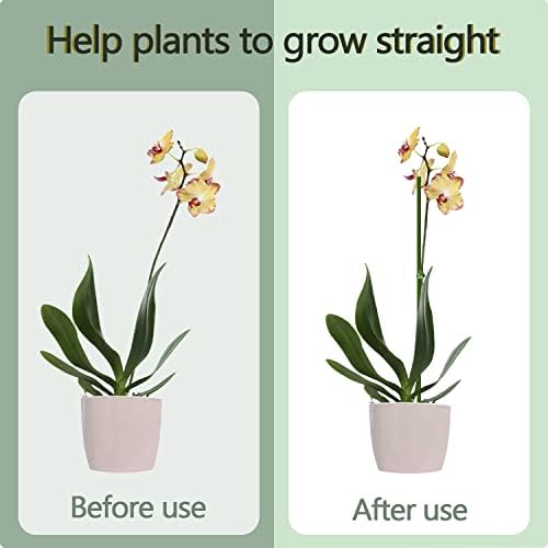 10Pcs Plant Stakes, 15IN Orchid Support Stakes for Indoor Plants