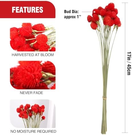 MIHUAGE Dried Globe Amaranth Flower with Wheat Straw 40PCS Bouquet for Vase Home Decor Party DIY Arrangement(Bright Red)