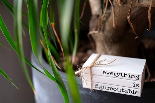 Farmhouse Motivational Wooden Office Desk Decor, Cute Decorative Books for Shelf Decoration, Inspirational Gifts for Women Men - Everything is Figureoutable Sign