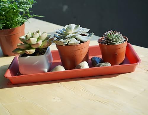 VUWEZ 2 Pack Plastic Plant Saucer, Rectangular, Indoors Outdoor, Water Drip Tray for Flower Pot, Windowsill (6.5 X 13 Inch, Black)