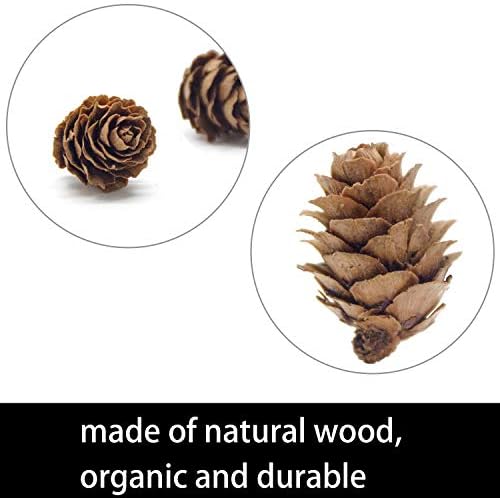 250 Pcs Christmas Natural Mini Pine Cones-Thanksgiving Pine Cone Ornaments