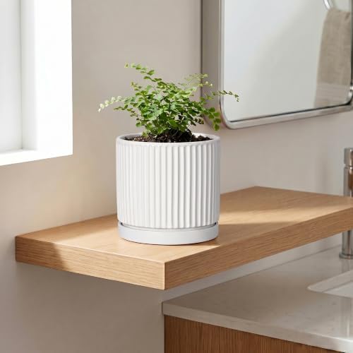 Ceramic Plant Pots 6 Inch, Round Pots for Plants with Tray, White