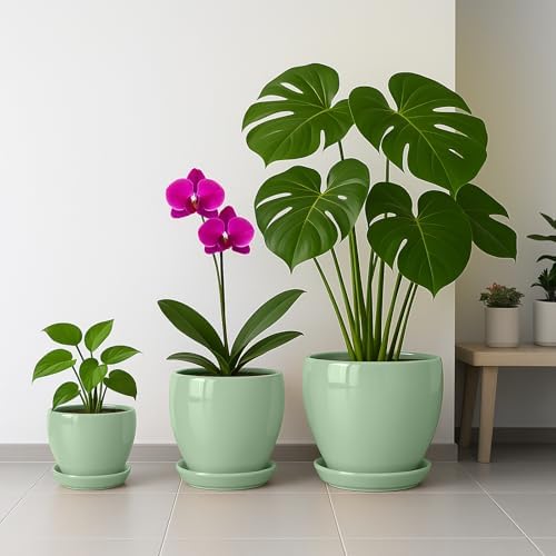 Deep Dream 10 Inch Plant Pot- Ceramic Planter Pot Round Plant Pots for Indoor Plants Outdoor Large Flower Pot with Drainage Holes & Trays, Mint Green