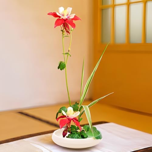 Woration Japanese Ikebana Vase & Flower Frog Kit, Floral Art 5.35inch White Bowl Pot with 1.57inch Kenzan for Flower Arrangement Desk Office Home Decoration