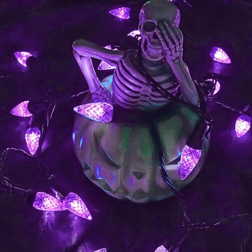 2 Pack Connectable C6 Halloween String Lights Outdoor 200 LED 66 FT Purple
