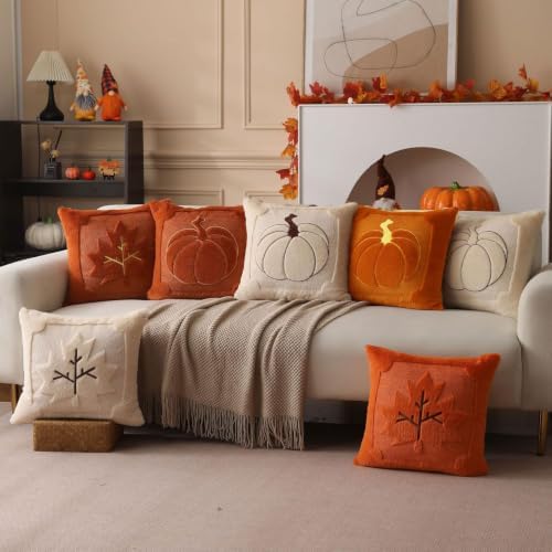 Allorry Fall Pillow Covers 20x20 2 Pack Beige Pumpkin Home Decor PT010A20