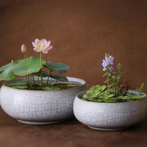 Lotus Bowl Planter 2 Pack, 7.5in & 6.5in, Shallow Vase