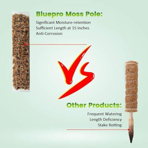 EOX Plastic Moss Pole for Monstera and Climbing Plants, 15-Inch, 8-Pack