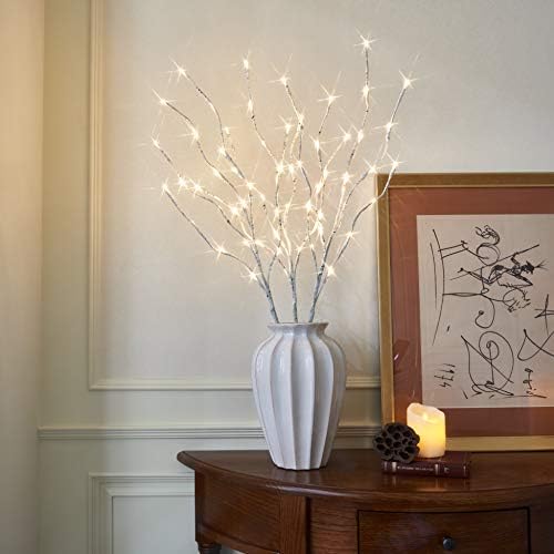 EAMBRITE Pre Lit White Birch Twig Branch Lights 30IN 60LT Plug in Lighted Willow Branch for Home Holiday Party Wedding Spring Decoration Indoor and Outdoor Use (Vase Excluded)
