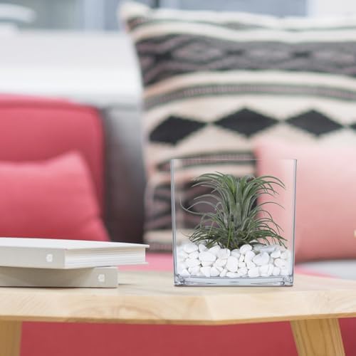 2 Pack Acrylic Cube Vases 4 X 4 Inch, Clear Square Vases, Shatterproof Flower Vase Decorative Centerpiece for Home, Wedding