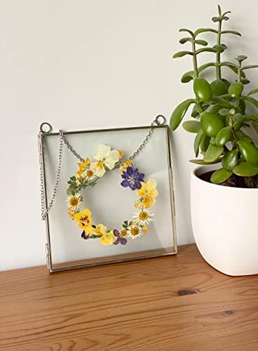 Glass Frame for Pressed Flowers, Leaf and Artwork - Hanging Square Metal Picture Frames, Clear Double Glass Floating Frame, Wall Decor Photo Display, Set of 2 Flower Press Frames with Chain (Silver, 6x6)