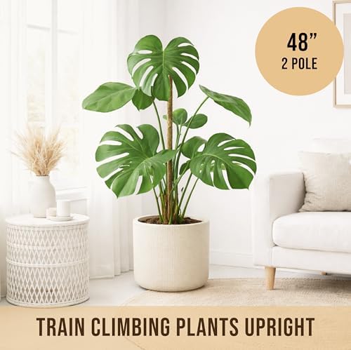 Moss Pole Monstera Plant Support, 2 Pack 48in Bendable Indoor Plant Stakes