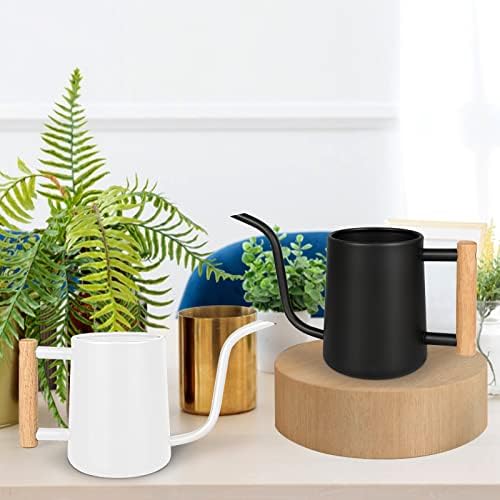 Watering Can Indoor Plants, 35 oz/1000 ml Metal Stainless Steel Watering Can Pot with Long Spout for Indoor House Plants Bonsai Outdoor Garden Flower Decorative (White)