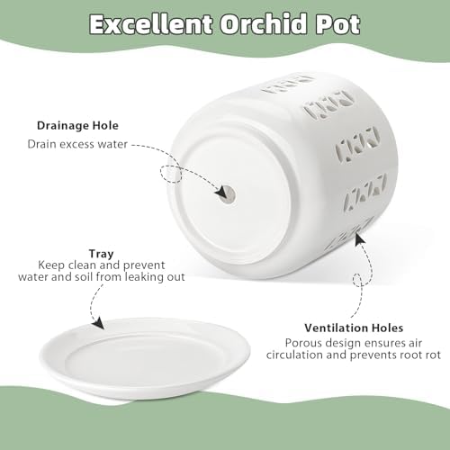 BUYMAX Ceramic Orchid Pots with Holes Orchid Root Care Set of 2 Flower Pot