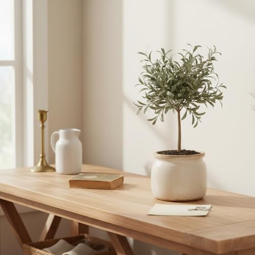 Ceramic Planter & Vase for Wabi Sabi Decor, Nordic Minimalist Flower Pot