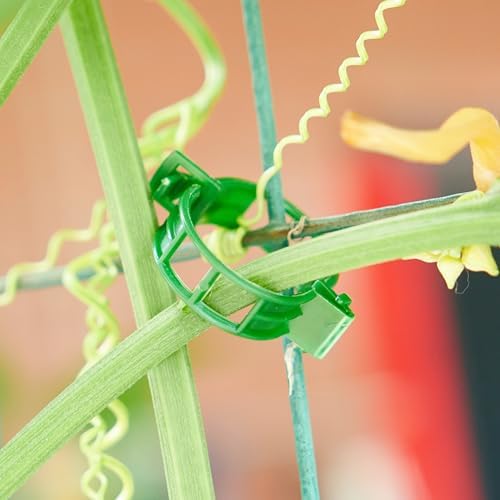 300Pcs Garden Vine Plant Support Clips,Plastic Fixing Clips for Securing and Training Climbing Plants,Tomatoes,Grapes,Vine Vegetables and Potted Plant (300, Green)