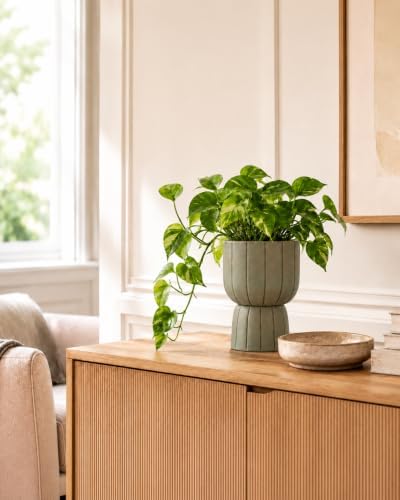 Self Watering Pots for Indoor Plants, 6 Inch Ceramic African Violet Pot