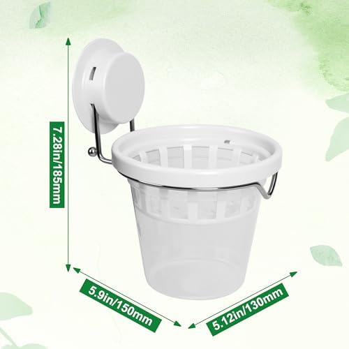 6-Pack Window Propagation Stations Hanging Clear Planter with Suction Cup