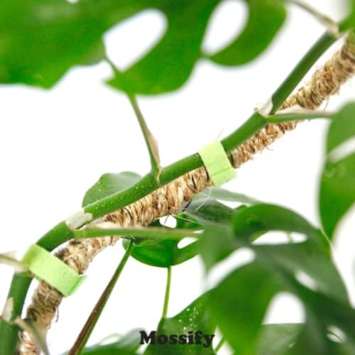 Bendable Coir Pole for Climbing Plants, Sturdy, 30 in | Shapeable Steel Core Wrapped in Natural Manila, Monstera