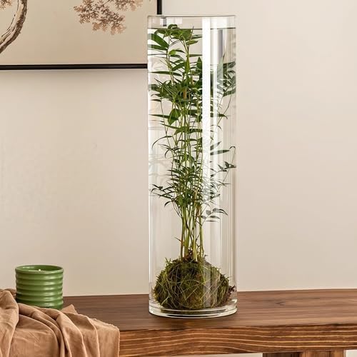 Clear Acrylic Cylinder Flower Vase Large Plastic Centerpieces Vase