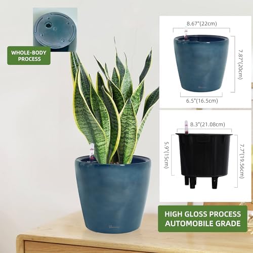 Dexceder 9x8 Self Watering Planter (Grayish Green Gradient)