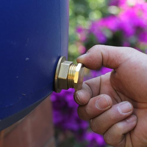 SIGURANTA Brass 3/4" GHT Hose Cap & Plug Set, 10 Pack