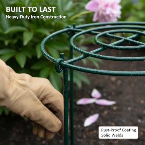 DAYUMKOU 8 Pack Peony Cages and Supports, 14" D x 24" H