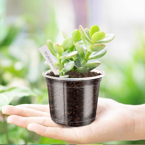 4/5/6Inch Nursery Pot,30 Pack Clear Pots with Drainage