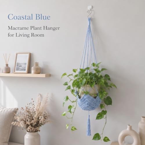 Shappy 1 Pack Boho Macrame Plant Hanger for Indoor