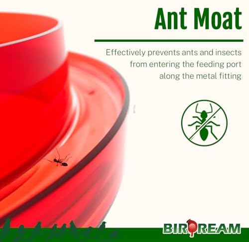 Birdream 4 Pack Window Hummingbird Feeder, 5oz, Red