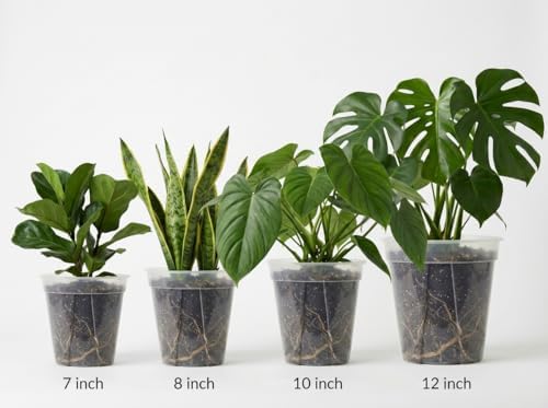 Large Clear Nursery Pot with Drainage Holes 7/8/10/12 inch,12pack