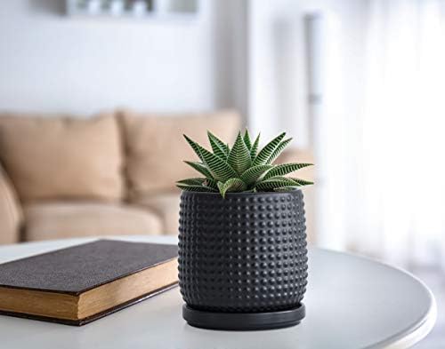 D'vine Dev Beaded Ceramic Pot with Saucer, 4 in, Ebony Matte, 27-C-Z-6