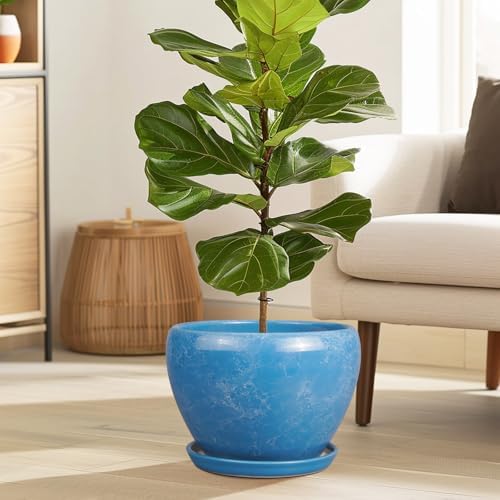 Ceramicfor 10 Inch Planter Pot, Ceramic Pots for Plants with Drainage, Blue