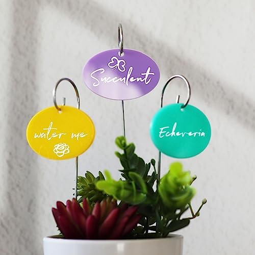 Temlum Acrylic Plant Labels for Indoor & Outdoor Plants, Multicolor 25pcs