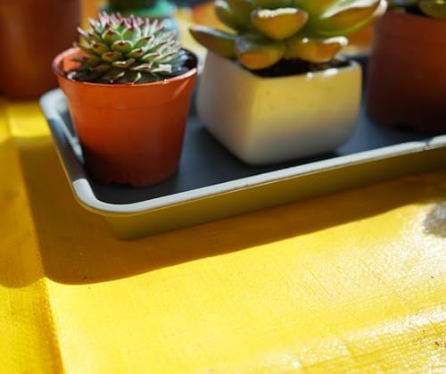 VUWEZ 2 Pack of Plastic Plant Tray Saucer Rectangular 17 18 inch, Plant Trays Saucers for Indoors Outdoor, Plant Water Drip Tray for Flower Pot Planter, Windowsill Plant Tray (7.8 X 17.5'', Gray)