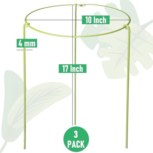 3-Pack Heavy Duty Plant Stakes and Supports for Indoor Outdoor Plants, Metal Support Stakes & Cage Rings, Ideal for Monstera, Peonies, Roses (10" W x 17" H)