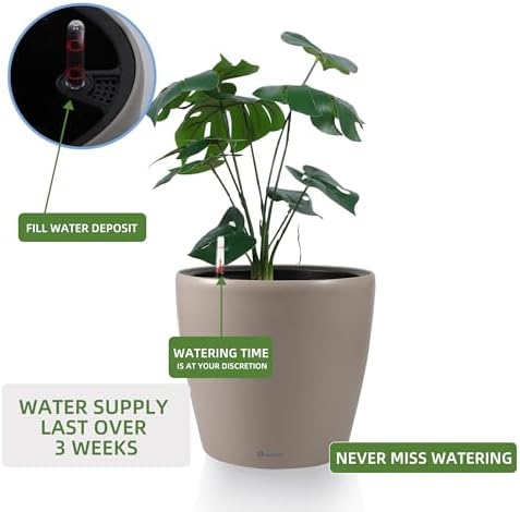 Dexceder 11x10 Self Watering Planter (Taupe Matte)
