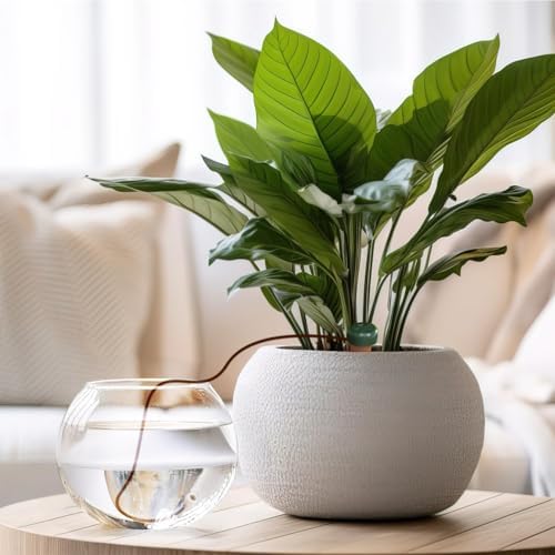 Blumat Classic Self-Watering Stakes - Prevents Overwatering and Underwatering for Healthy Growth While You are Away - Ideal for Indoor Plant Watering (3 Pack w/o Adapter)