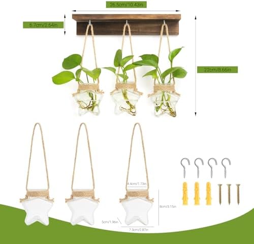 XXXFLOWER Wall Hanging Propagation Station with 3 Star-Shaped Glass Vase