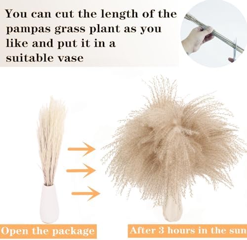 Dried Pampas Grass Decor, 120 PCS Pampas Grass with Bunny Tails Dried Flowers, Reed Grass Bouquet for Wedding, Boho Flowers, Home Table Decor, Rustic Farmhouse Party (White and Brown)