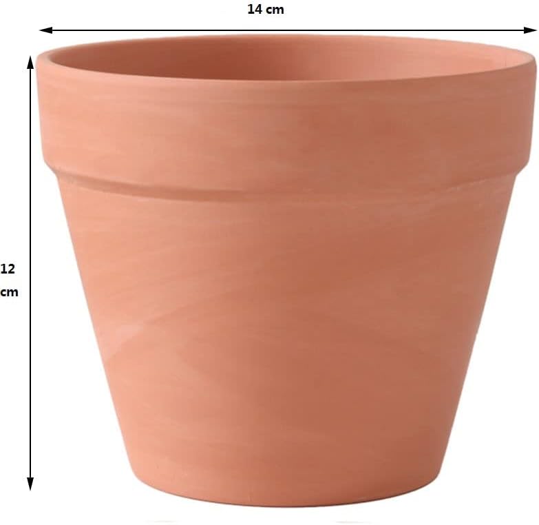 OLEEP Clay Pots - 10 Pack (5.5 inch) Large Terra Cotta Plant Pot with Drainage Hole,Garden Pots, Clay Planters Pot